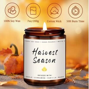 Auelife Soy & essential oil Fall candles
